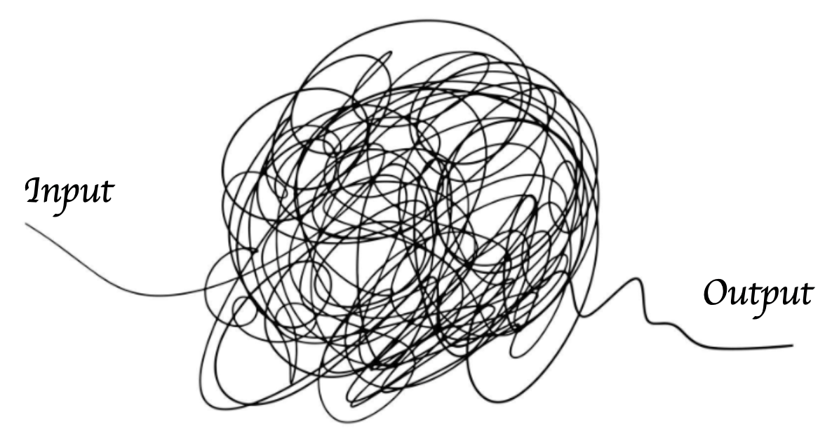 An input passes through tangled interacting dynamics and emerges as an output.